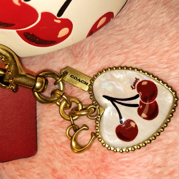 Coach Cherry Print Jonie, CP Tabby 20 Mini, CP Vintage Heart Charm 3 Piece Set - Picture 13 of 17